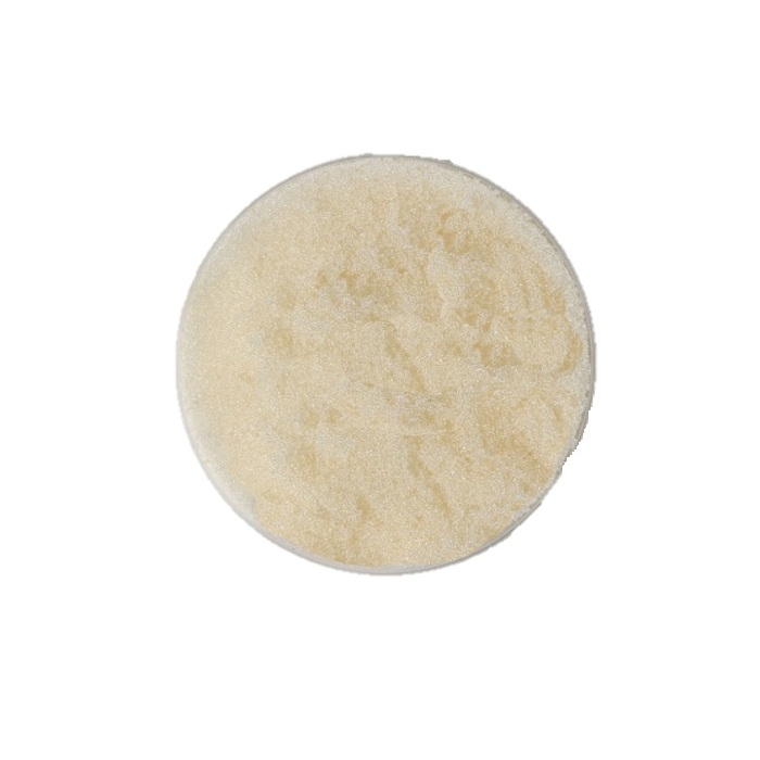 Resina Anion ResinTech SBG1-OH - Imagen 2